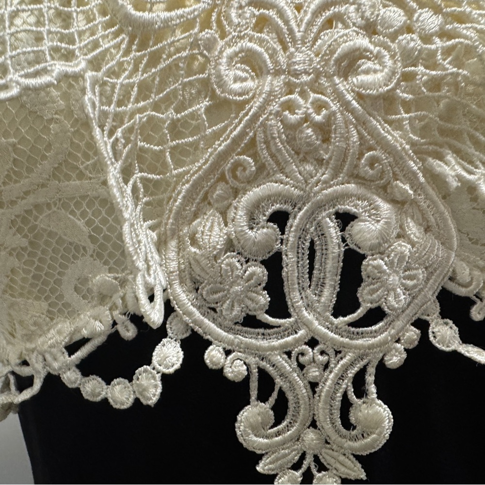 Vintage Scott McClintock Victorian Lace Formal Dress Size 6 (Missing 2 buttons) - Picture 5 of 13